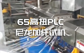 65高扭+PLC，尼龍加纖雙螺桿造粒機試機